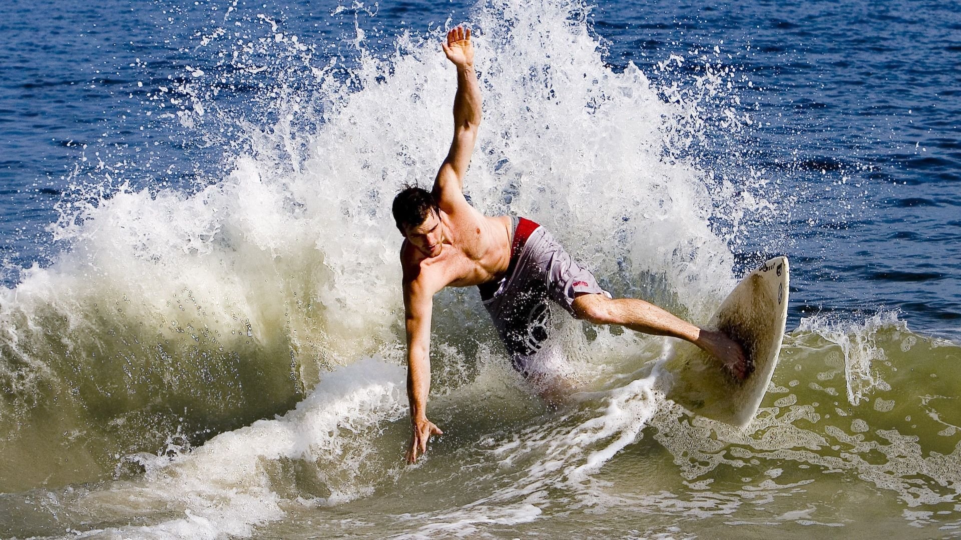 “速度之魂”——冠军车手的血性与荣耀，速度之星